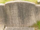 image of grave number 648031